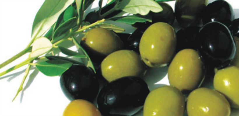 Çekirdeği ağrı kesici kendisi kalbin çaresi - Resim: 1