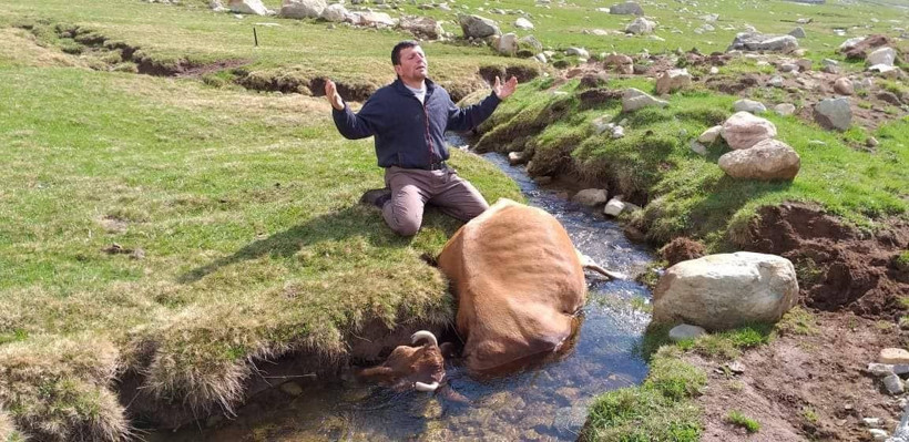 Rizeli çiftçi gündem oldu Haluk Levent harekete geçti - Resim: 1