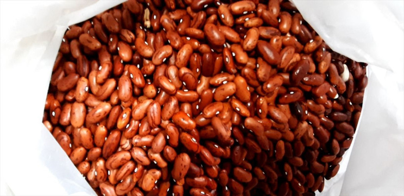 Bolu'dan ücretsiz gönderiyor telefonları susmuyor! 20 il sırada - Resim: 2