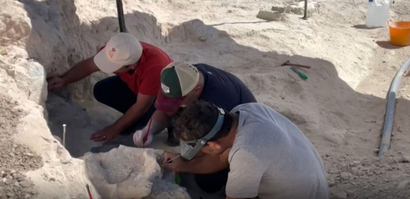 Nevşehir'de yol çalışmasında tesadüfen bulundu laboratuvardaki ilk bulgular şaşkına çevirdi - Resim: 1