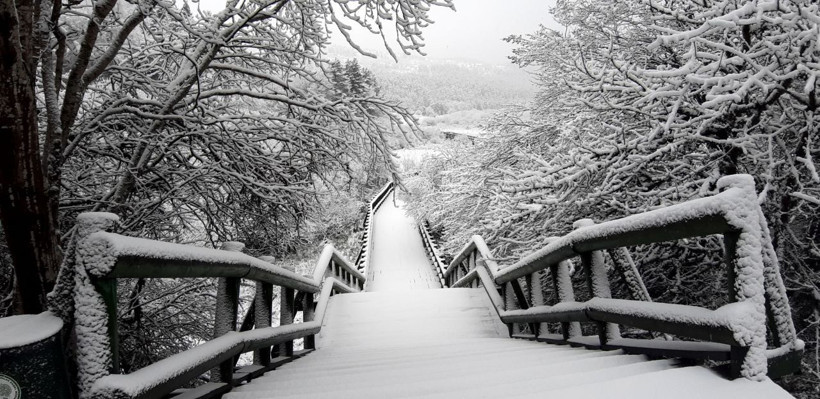 Bolu Abant, Nisan ayında beyaz örtüyle kaplandı! Muhteşem görüntüler - Resim: 1