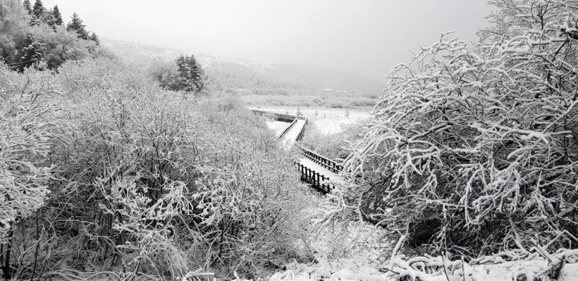 Bolu Abant, Nisan ayında beyaz örtüyle kaplandı! Muhteşem görüntüler - Resim: 2