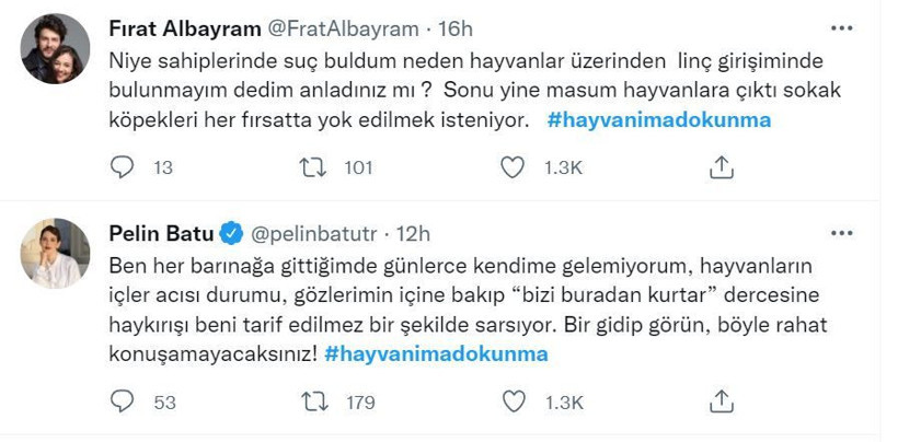 Minik Asiye'ye pittbul saldırısının ardından köpeklerin toplanmasına ünlülerden Twitter'da 'hayvanıma dokunma' tepkisi - Resim: 3