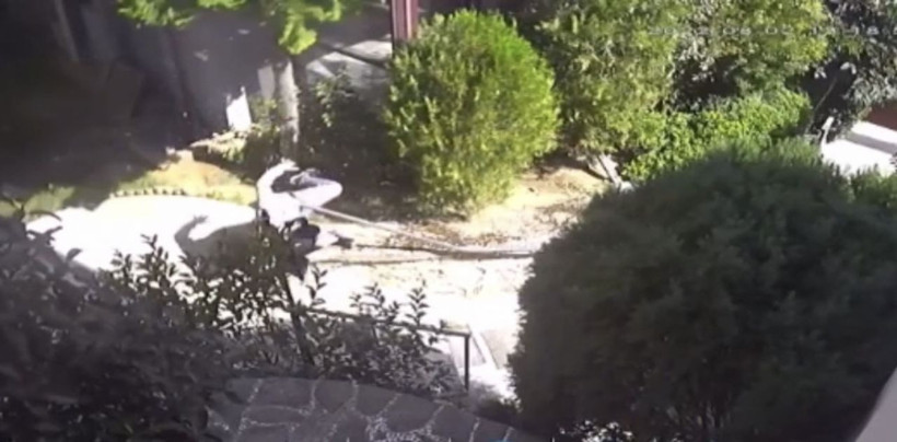 Tarabya'da lüks villada dehşet! Çatıdan düşüp demire saplandı - Resim: 4