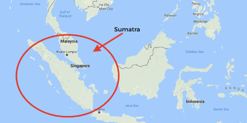 Bu adada erkekler 'gelin' oluyor! Bekaretlerini ise...  - Resim: 2