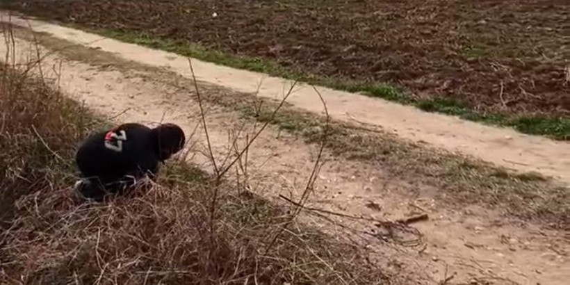 Minik mültecinin umuda yolculuğu yürek sızlattı - Resim: 3