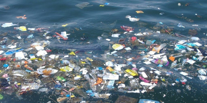 Salgına karşı kullanılan deterjanlar sularımıza karışıyor! - Resim: 4