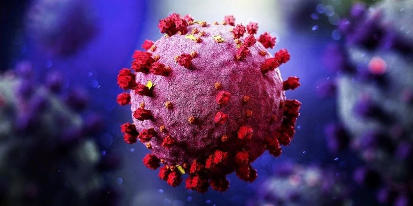 Korkutan araştırma! Omicron'un alt mutasyonu ciddi hastalıklara neden oluyor - Resim: 2