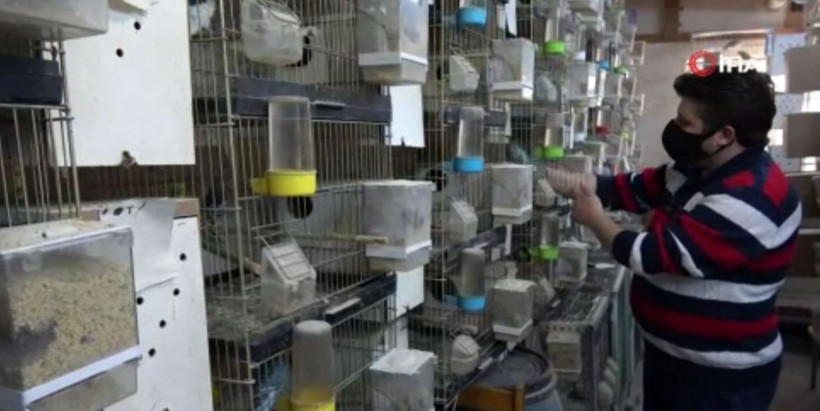 Tokat'ta emekli olup hayalini gerçekleştirdi! 2 taneyle başladı 200'e çıktı - Resim: 1