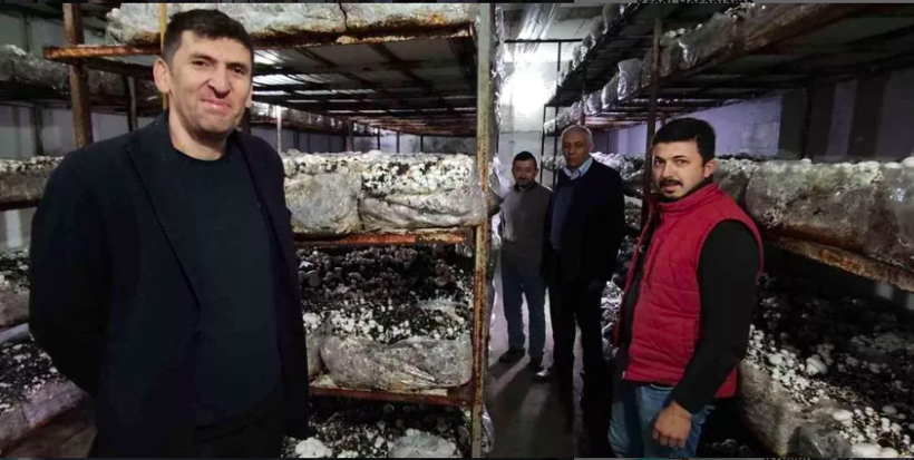 400 metrekarelik alanda yetiştiriyor 3 milyon kazanıyor! Sipariş yağıyor - Resim: 3