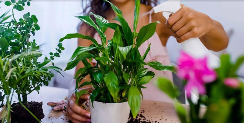 Kış çiçek bakımında dikkat etmeniz gerekenler üstlerini örtün! - Resim: 1