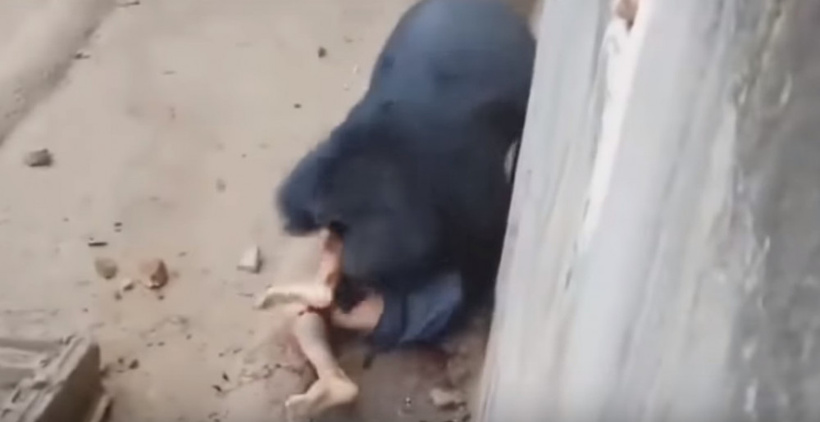 Kafese giren adam ayıya yem oldu! - Resim: 2