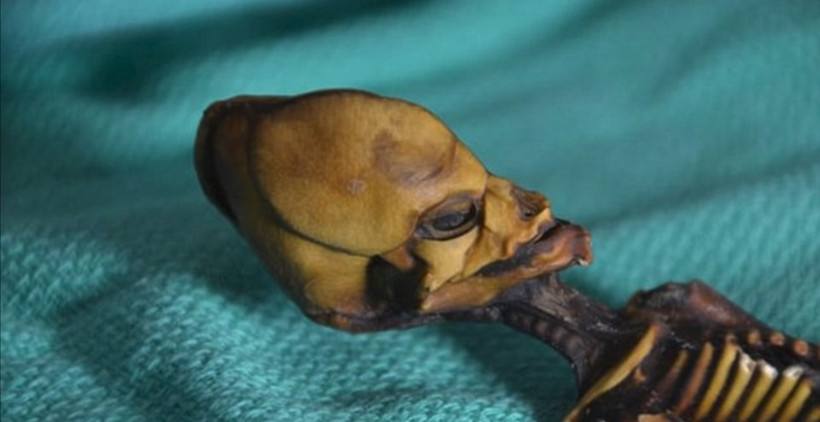 Gizemli minik mumyanın sırrı çözüldü - Resim: 2