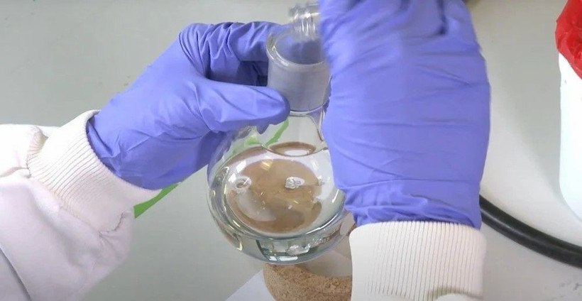 Akrep zehri koronavirüse karşı koruyabilir mi? Bilim insanlarından sıra dışı ilaç - Resim: 4