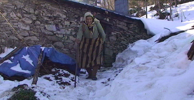 Trabzonlu 'Robinson Nine'nin ayılarla başı dertte - Resim: 2