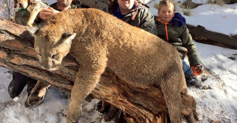 Saldırısına uğradığı dağ aslanını elleriyle boğarak öldürdü - Resim: 3