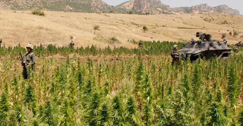 Uyuşturucu ticaretine büyük darbe - Resim: 3