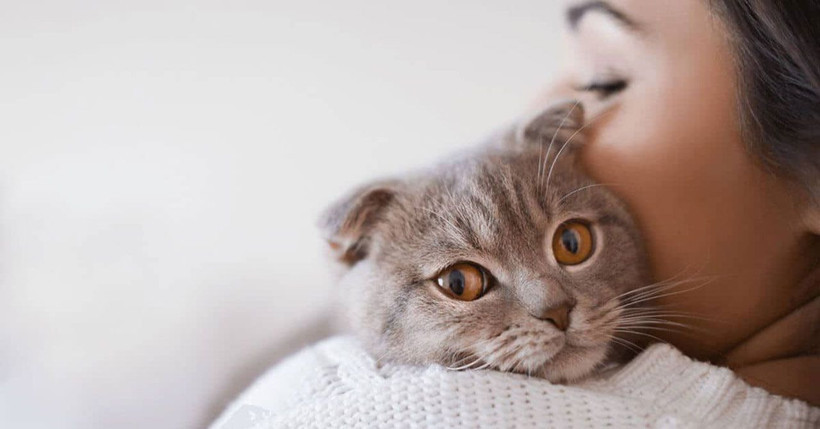 Keşke bana da bulaşsa diyeceksiniz! Korkulan parazitin çekici gösterdiği açıklandı - Resim: 1