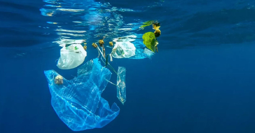 Mikroplastikler sağlığımızı tehdit ediyor! Uzmanlar uyarıyor... - Resim: 2