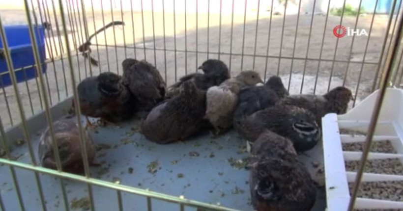 Denizli'de kızı için bu işe başladı paraya para demiyor - Resim: 4