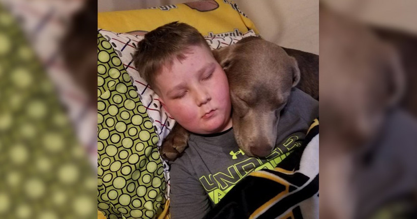 9 yaşında kanser oldu! Babasına öyle bir şey söyledi ki... - Resim: 1