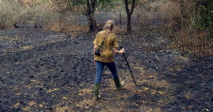 Her gün aynı yere bir ağaç dikti 26 yıl sonra ise...  - Resim: 1