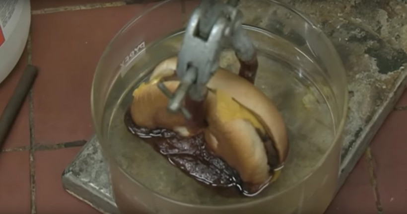 Böyle deney görülmedi hamburgeri tuz ruhuna sokup... Şoke olacaksınız - Resim: 2