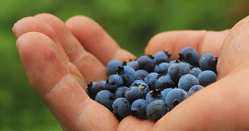 Cildi gençleştirip parlatan 8 faydalı besin! - Resim: 3