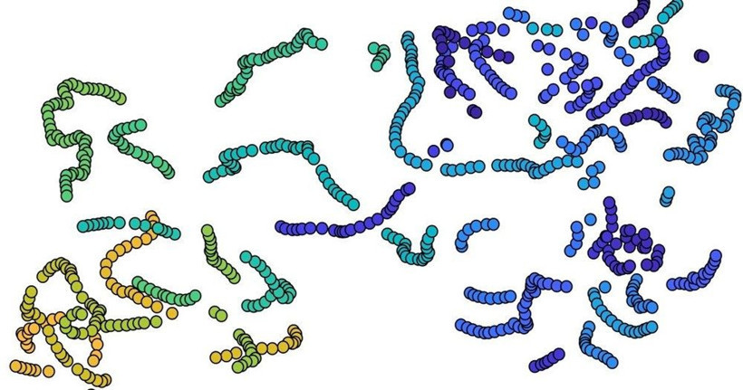 Bir insanın aklından günde 6 bin düşünce geçiyor - Resim: 1