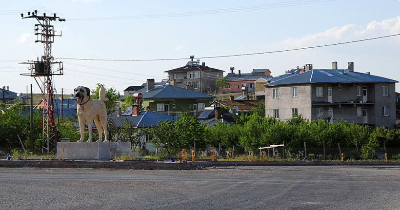 Sivas Kangal'da büyük keşif! 71.5 milyar lira değerinde altın rezervi bulundu - Resim: 1