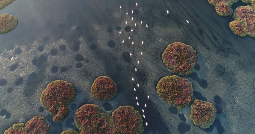 Megastar Tarkan Gediz Deltası için çağrı yaptı! - Resim: 3