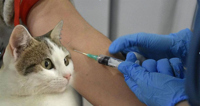 Keşke bana da bulaşsa diyeceksiniz! Korkulan parazitin çekici gösterdiği açıklandı - Resim: 2