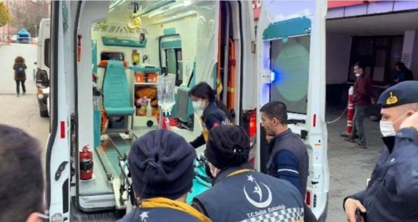 Gaziantep'te pittbul saldıran küçük Asiye komada iken 'Tofita Ayça' Tekindor: Biz ölelim, hayvanlar yaşasın! - Resim: 2