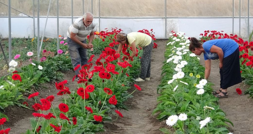 Tokat'ta sınıf öğretmeni hobi olarak başladı şimdi talebe yetişemiyor - Resim: 2