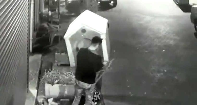 İzmir'de pes dedirten olay köpeği uyandırıp kulübesini çaldılar - Resim: 2