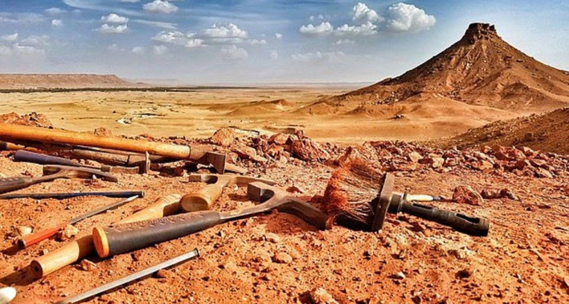 Su altında yaşayan ilk dinozor türü keşfedildi - Resim: 3