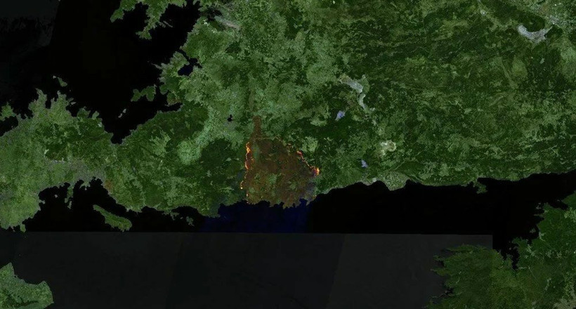 Türkiye'deki orman yangınlarının uydu görüntüsü! Öncesi ve sonrasına bakın - Resim: 4