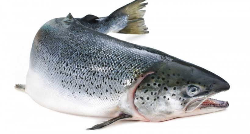 Somon sperminden güneş kremi ürettiler! Bu kadarı da pes! - Resim: 4