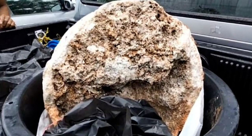 Balıkçı sahilde buldu değeri 250 milyon lira - Resim: 2