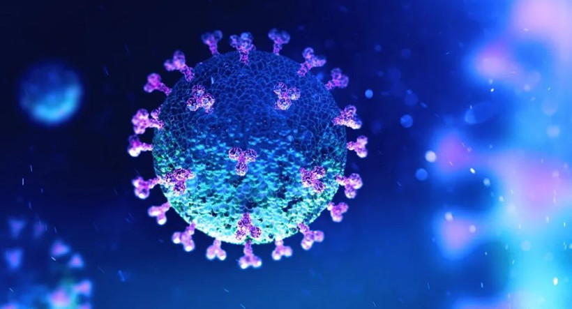 Uzmanlardan sonbahar uyarısı: Grip ve Covid-19 vakaları arttı - Resim: 4