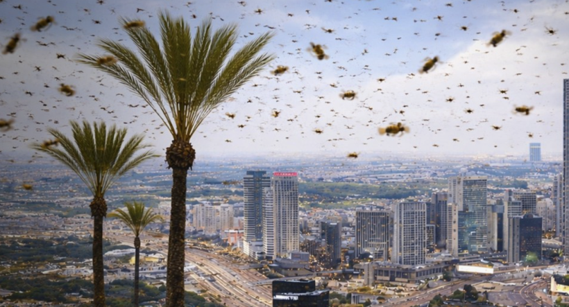 İsrail'de alarm! Tarihin en büyük arı istilası yaşanıyor: Askeri uçuşlar durduruldu... - Resim: 4