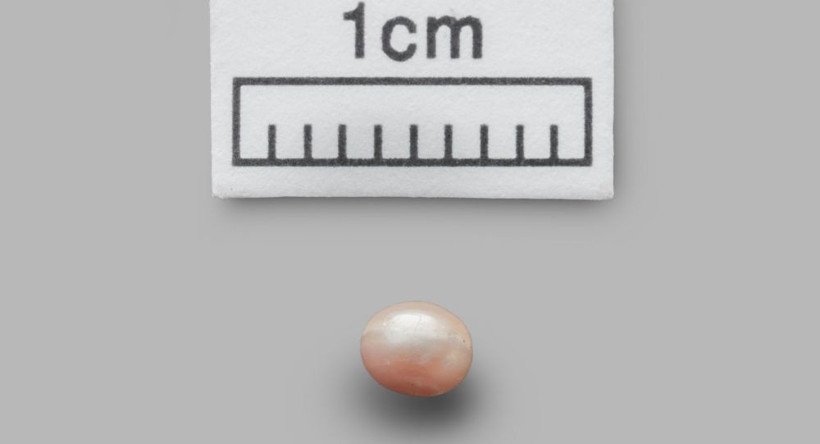 Dünyanın en eski doğal incisi' Abu Dabi'de bulundu! 8 bin yaşında - Resim: 3