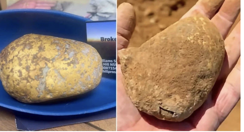 Yıllardır kimse böylesini görmedi! Patates sandı servet çıktı! - Resim: 8