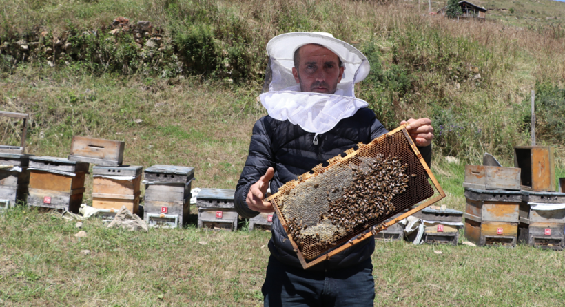Rize'de üretiliyor dünyanın her yerine satılıyor! Kilosu ise bu yıl bin TL - Resim: 3
