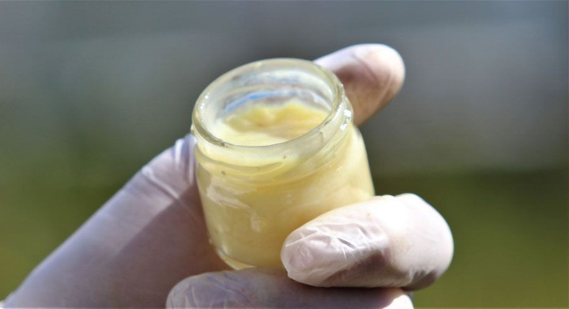 Kilosu 7 bin lira olan sütün sağımına başlandı koronavirüs nedeniyle büyük talep var - Resim: 2