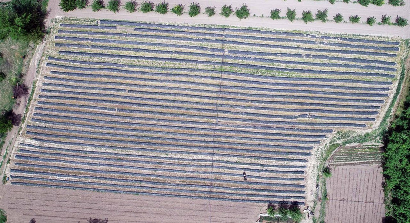 Şehirden köye döndüler hayatları değişti! Kayserili çift üretici oldu: Başka kimse yok - Resim: 4