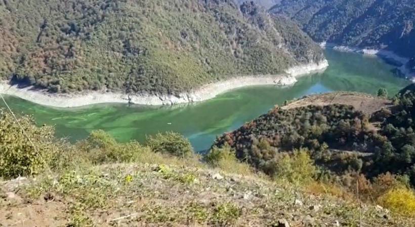Tokat'ta baraj yeşile boyandı ölü balıklar kıyaya vurdu - Resim: 1