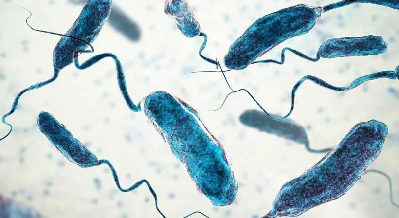 Bulaşıcı hastalıkların şiddetinin artma sebebi ortaya çıktı - Resim: 4