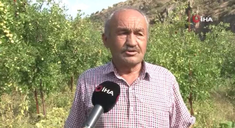 Ankara'da bu işe başladı! Paraya para demiyor: Bunu yetiştirmeyene yazıklar olsun - Resim: 4