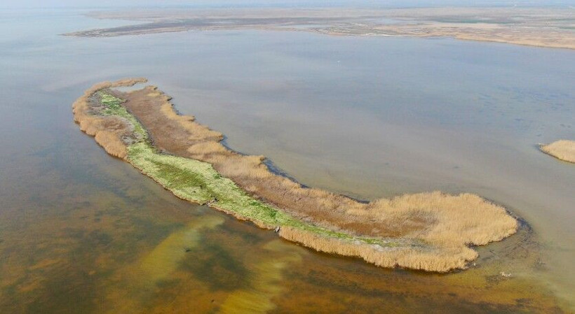 Kesin korunacak hassas alan ilan edildi! Adana'da görenler hayran kaldı: Milyonlarca var - Resim: 2